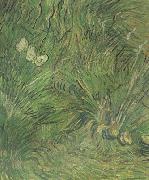 Vincent Van Gogh, Two White Butterflies (nn04)
